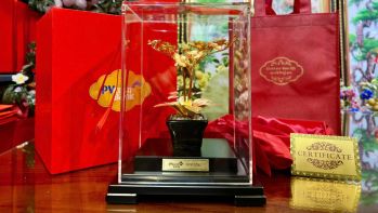 Kiem tra san pham truoc khi giao hang