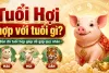 Tuổi hợi hợp với tuổi nào