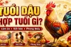 Tuổi dậu hợp với tuổi gì