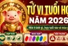 Tử vi tuổi hợi