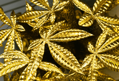 20240702 5 copy 1 edited 1 a07a4da8