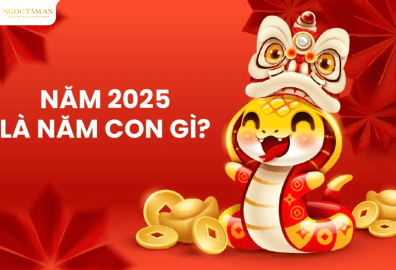 anh dai dien bai viet 1 d79c36e0