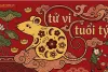 Tử vi tuổi Tý 2026, vận mệnh trọn đời và cách hóa giải