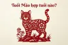 Tuổi Mão hợp với tuổi nào, kỵ tuổi nào? Giải đáp tam hợp, tứ hành xung