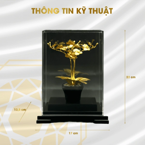 Cây Lan tài lộc mạ vàng (cỡ nhỏ) Cây Lan tài lộc mạ vàng (cỡ nhỏ)