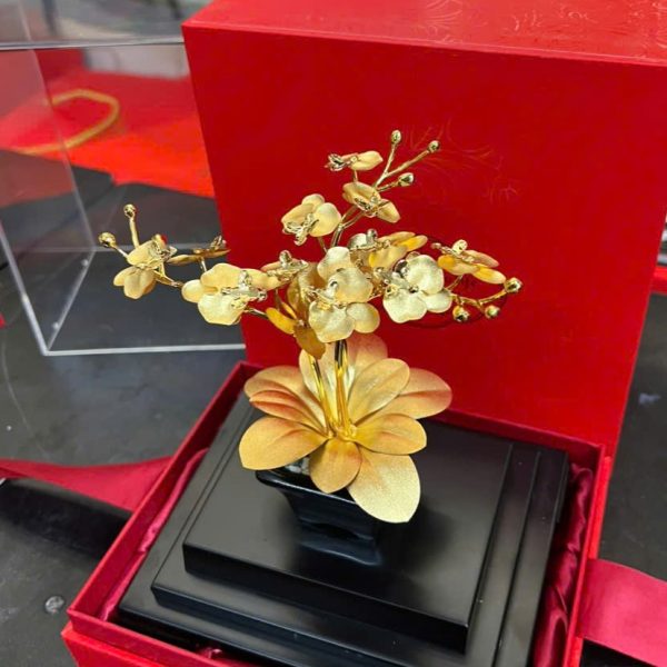 Cây Lan tài lộc mạ vàng (cỡ nhỏ)