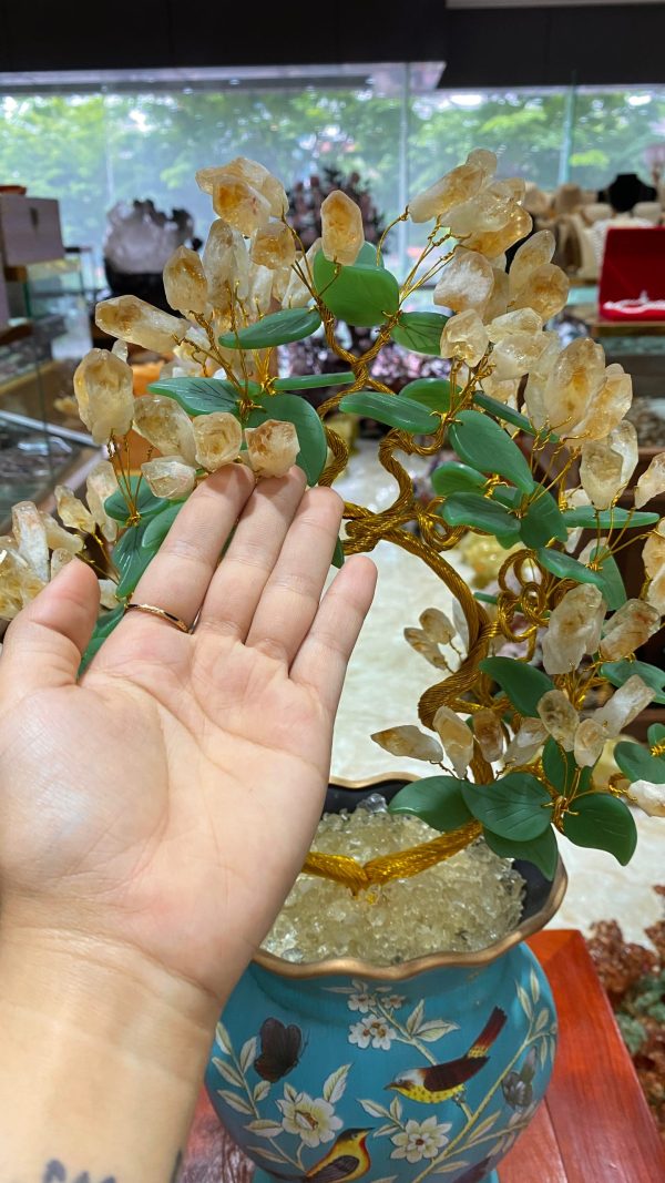 z5448800459376 6eaadc95d1dafe712d8e45d1ac172dd4