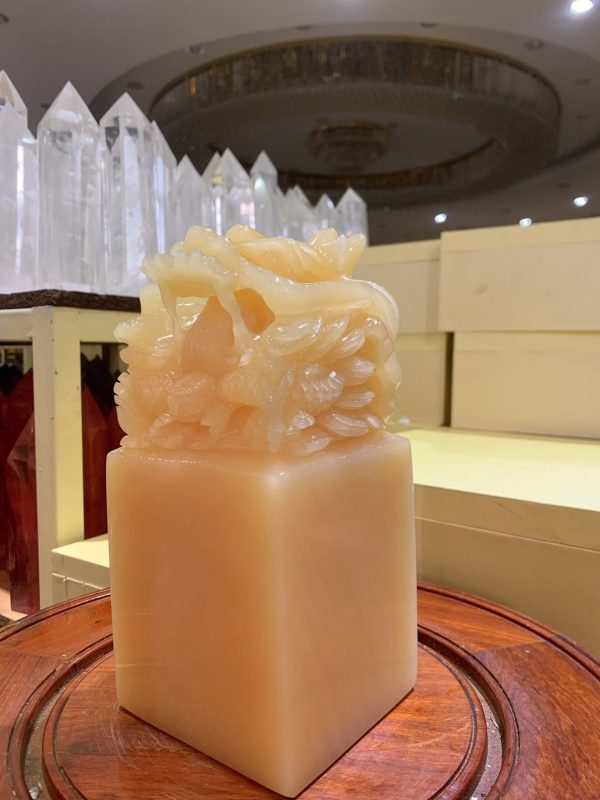 z5448807491014 cc7ff84fcdbb3d0d77e36fec10193743 scaled