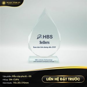 Mẫu cúp pha lê - 05