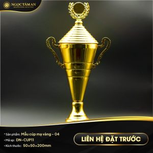 Mẫu cúp mạ vàng - 03
