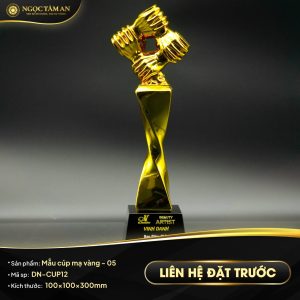 Mẫu cúp mạ vàng - 04
