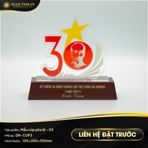 Mẫu cúp pha lê - 03