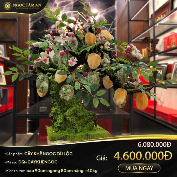 frame cay khe ngoc 01