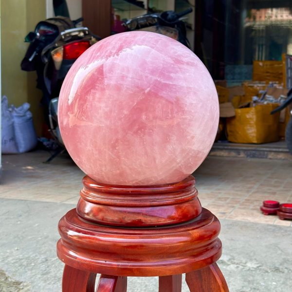 z5420967108439 029f38e44e23425f9f9da557eed43f91