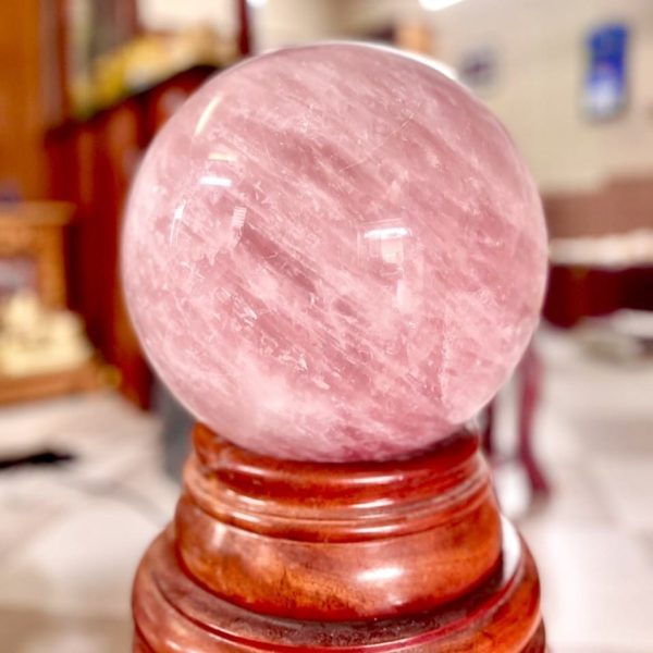 z5421007998398 efc1cd431cb7e40aacc52bca6532879f