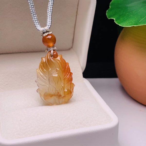 z5426272241360 9a811d0b42614d1e288438e9d8160bde