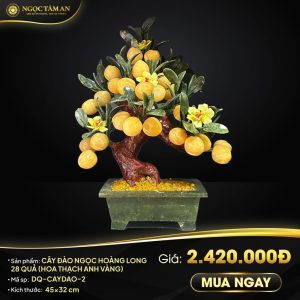 Cây đào Ngọc Hoàng Long 28 Quả (có hoa thạch anh)