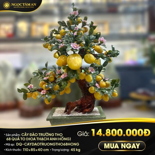 Cây đào đá trường thọ 68 quả to (hoa Thạch Anh hồng)