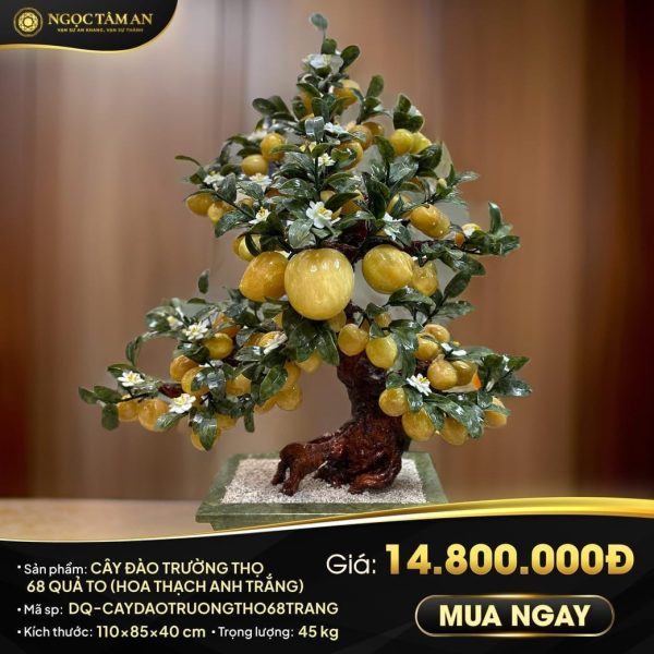 Cây đào trường thọ 68 quả to (hoa Thạch Anh trắng)