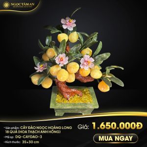 Cây đào Ngọc Hoàng Long 18 quả (hoa Thạch Anh Hồng)