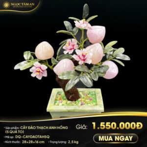 Cây đào Thạch anh hồng (5 quả to) 1