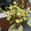Cây mai vàng đá quý (Thạch anh vàng) 2