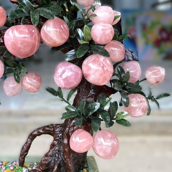 z6057655543247 bacfff208889c74c3bc62eae7ec8cd81 1