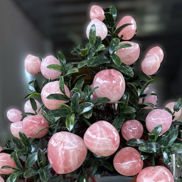 z6057656409760 0bc98a2f195bd07892099806680b7e01