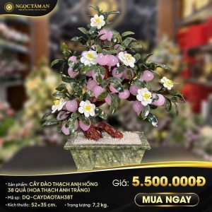 Cây đào đá Thạch anh hồng 38 quả (kèm hoa thạch anh trắng)