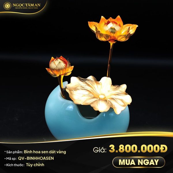 anh sp fix gia03