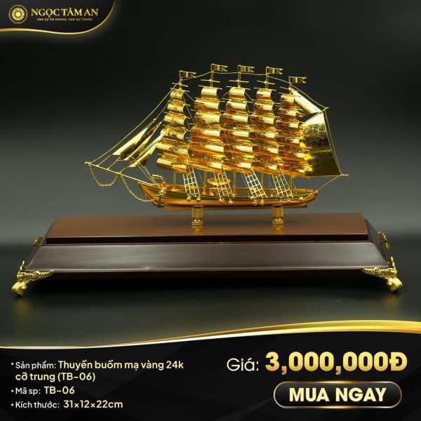 anh sp fix gia26