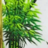 Bộ Tranh Đá Tứ Quý Bình An- Xuân, Hạ, Thu, Đông 7