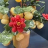 Cây Hồ Lô 18 Quả đá Ngọc Hoàng Long (hoa Ruby) 2