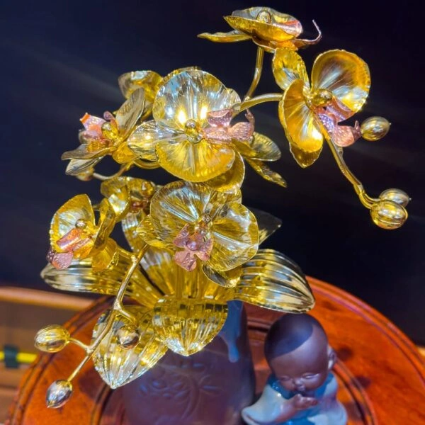 Cận cảnh cách hoa và thân hoa lan dát vàng