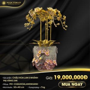 Chậu Hoa Lan 5 Nhánh Mạ vàng 24K