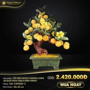 Cây đào Ngọc Hoàng Long 28 Quả (có hoa thạch anh)