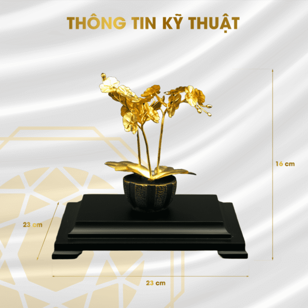 chau hoa lan 3 nhanh 01