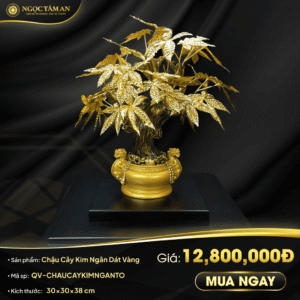 Chậu cây Kim ngân dát vàng (30cm)