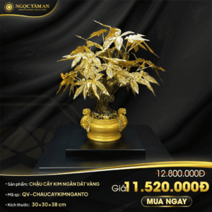Chậu cây Kim ngân dát vàng (30cm)