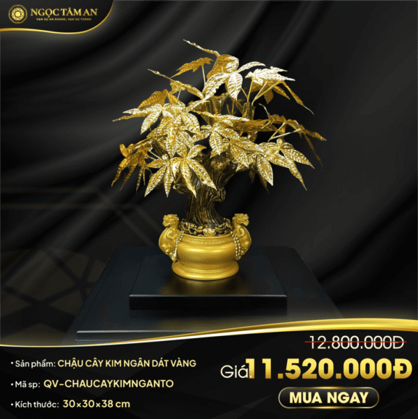 Chậu cây Kim ngân dát vàng (30cm)