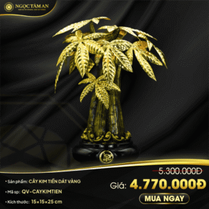 Cây kim tiền dát vàng