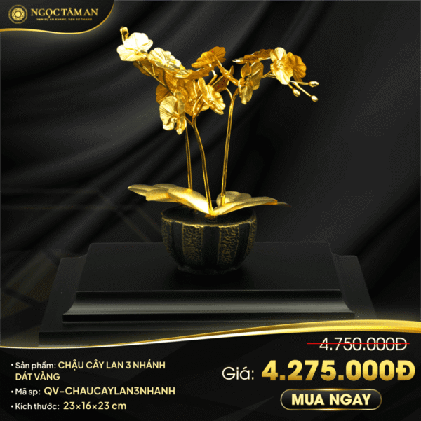 Chậu cây lan 3 nhánh dát vàng