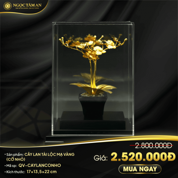 Cây Lan tài lộc mạ vàng (cỡ nhỏ)