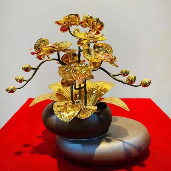 18 mau chau hoa lan dat vang 24k gia co 3 nhanh mang y nghia thu hut vuong khi tai loc va may man