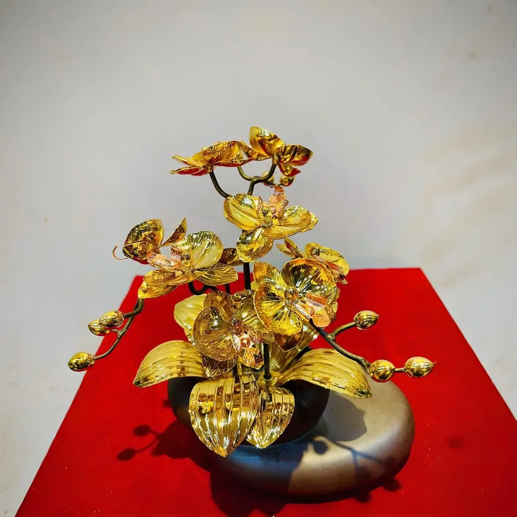 9 Chau hoa lan dat vang 24K gia co 3 nhanh