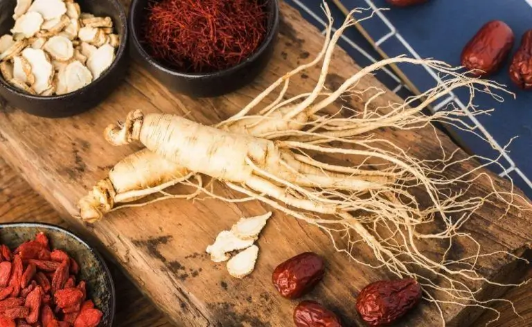 Nhân sâm tươi Hàn Quốc