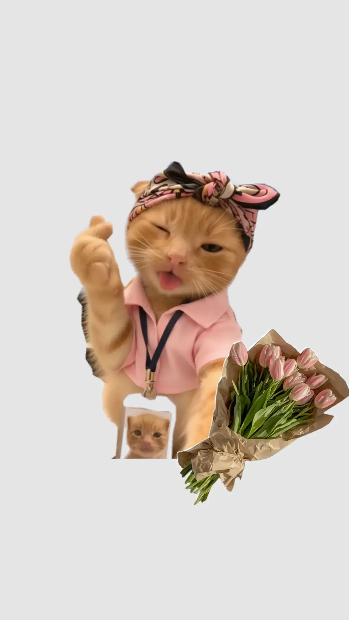 Quà meme tặng bạn thân