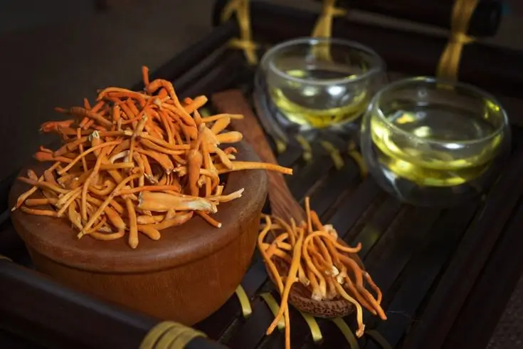 Đông trùng hạ thảo