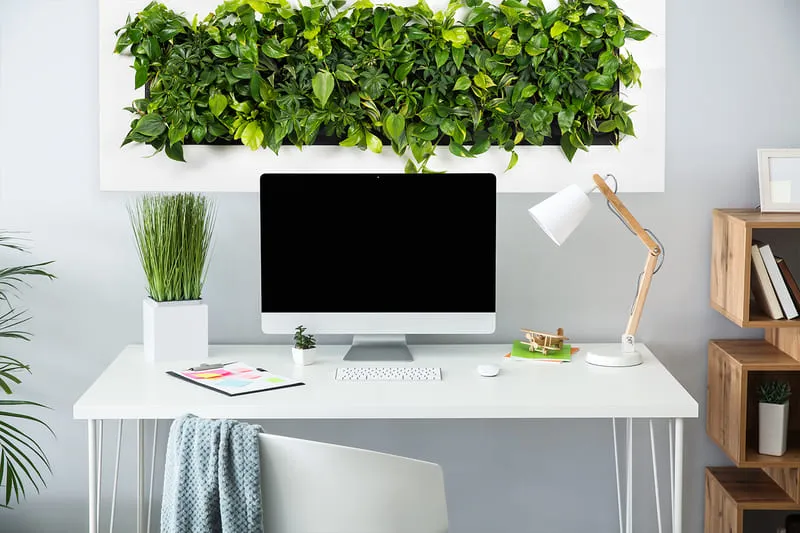 Trang trí bàn làm việc bằng cây xanh