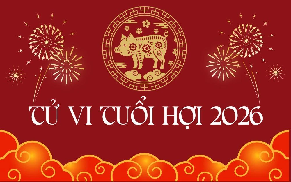Tử vi tuổi Hợi 2026